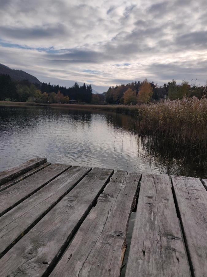 La Finestra Sul Brenta Διαμέρισμα Lasino Εξωτερικό φωτογραφία
