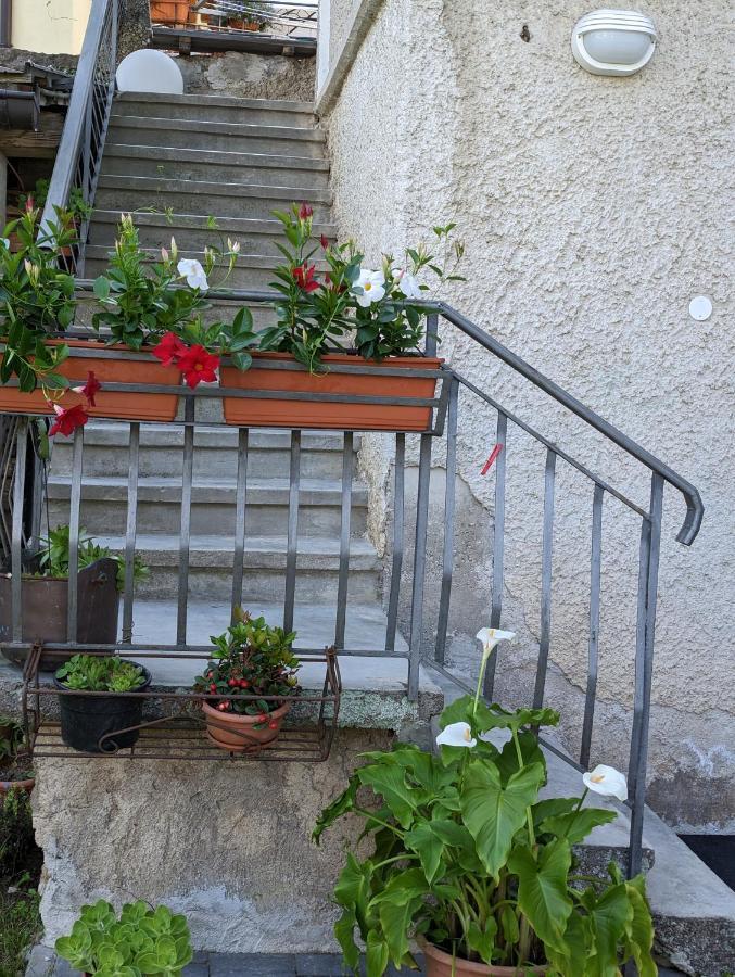 La Finestra Sul Brenta Διαμέρισμα Lasino Εξωτερικό φωτογραφία